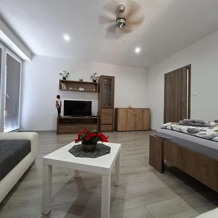 Apartment Wellness-detva *