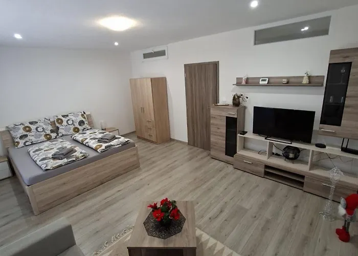 Wellness-detva 公寓 代特瓦